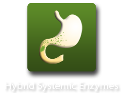 Hybrid Systemic Enzymes