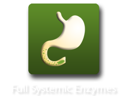 Full Systemic Enzymes