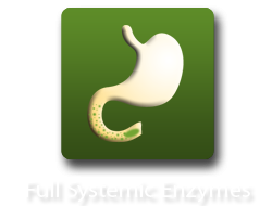 Full Systemic Enzymes