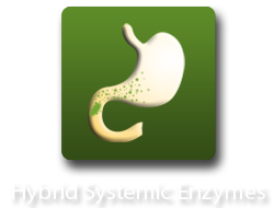 Hybrid Systemic Enzymes